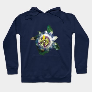 Lilikoi or Yellow Passion Fruit Flower Hoodie